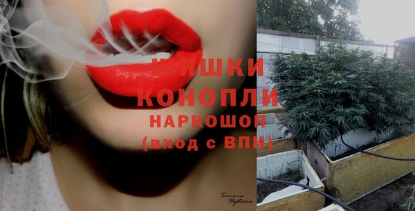дживик Вуктыл