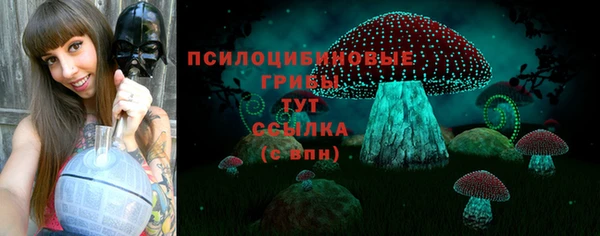 дживик Вуктыл