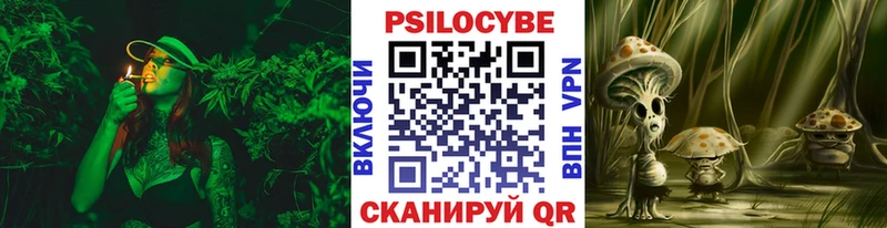 Галлюциногенные грибы прущие грибы  Пикалёво 